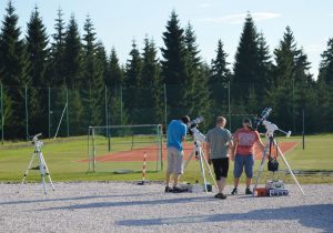 art_2452_7083